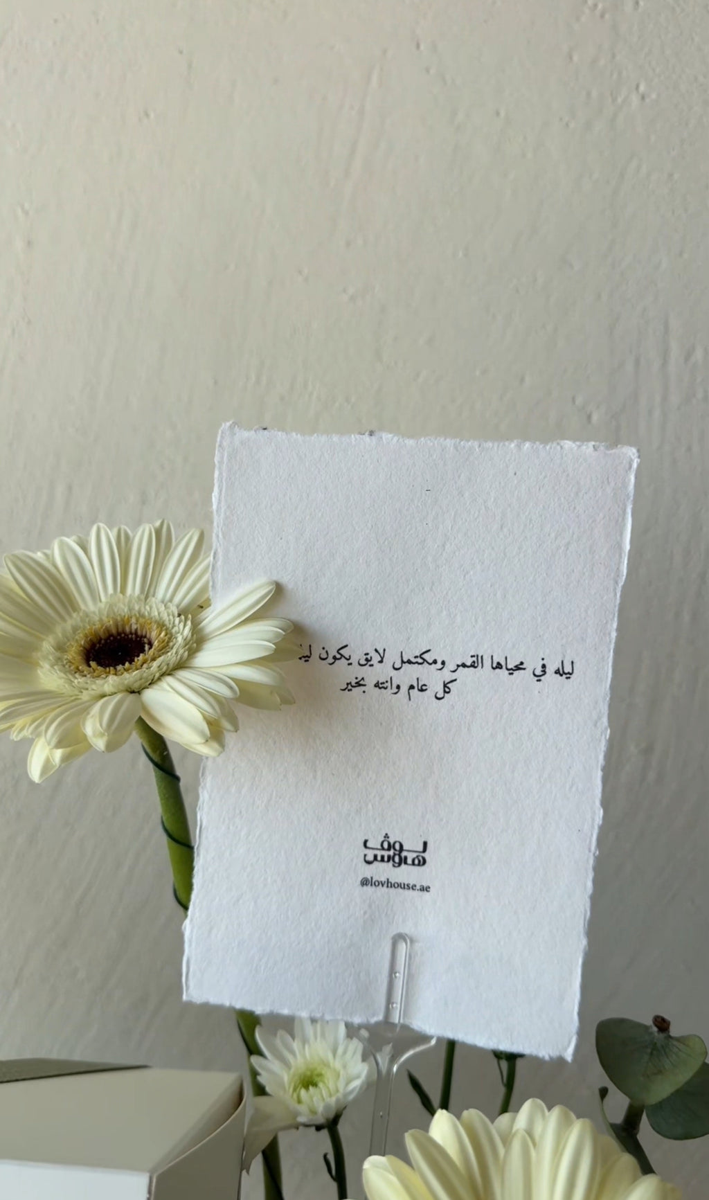 Feathers كاب بيج