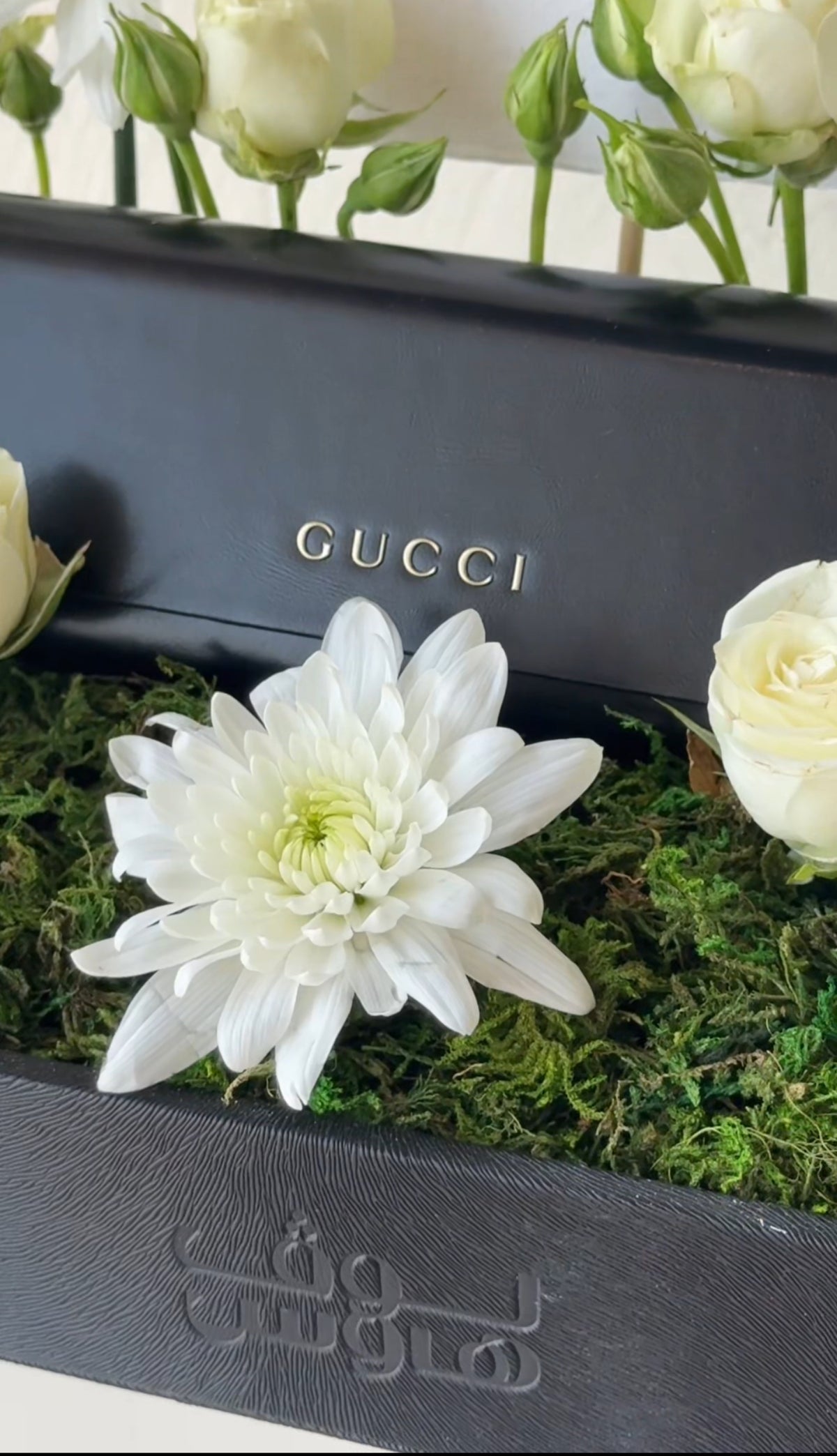نظارة راقيـة | Gucci
