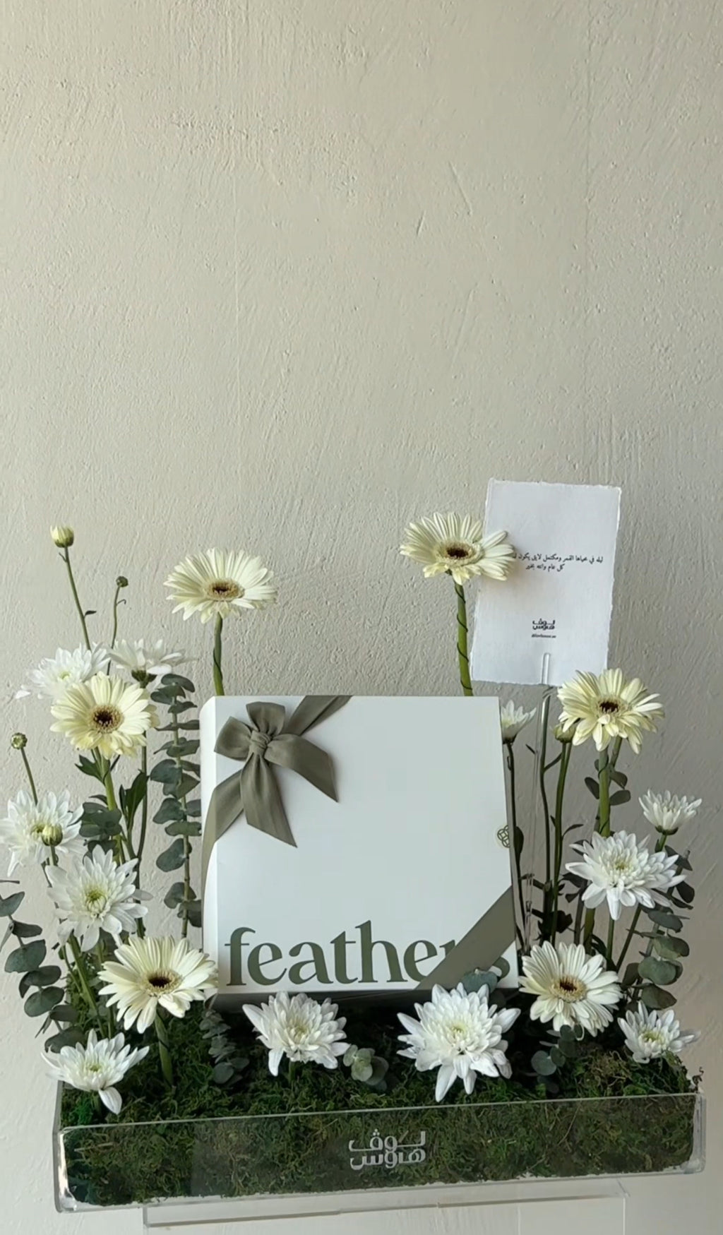 Feathers كاب بيج