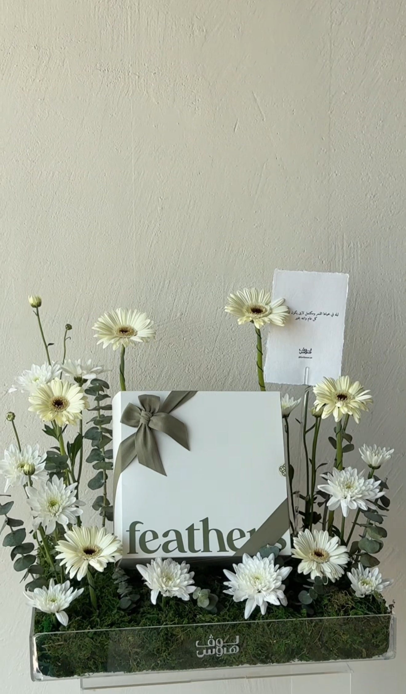 Feathers كاب بيج