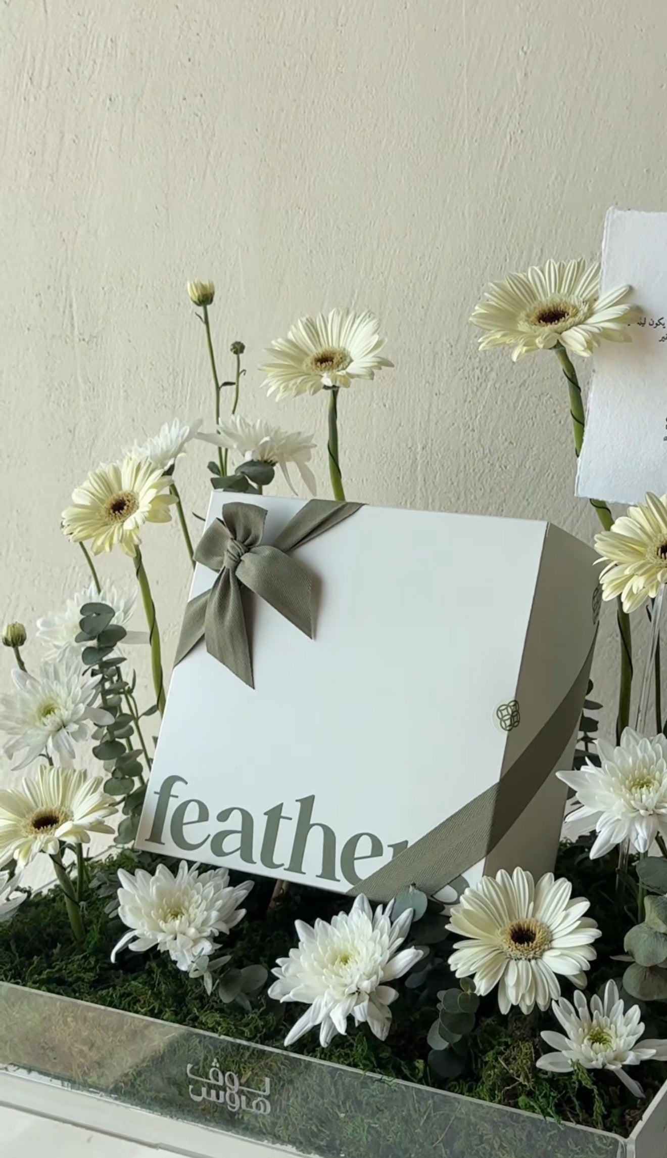 Feathers كاب بيج