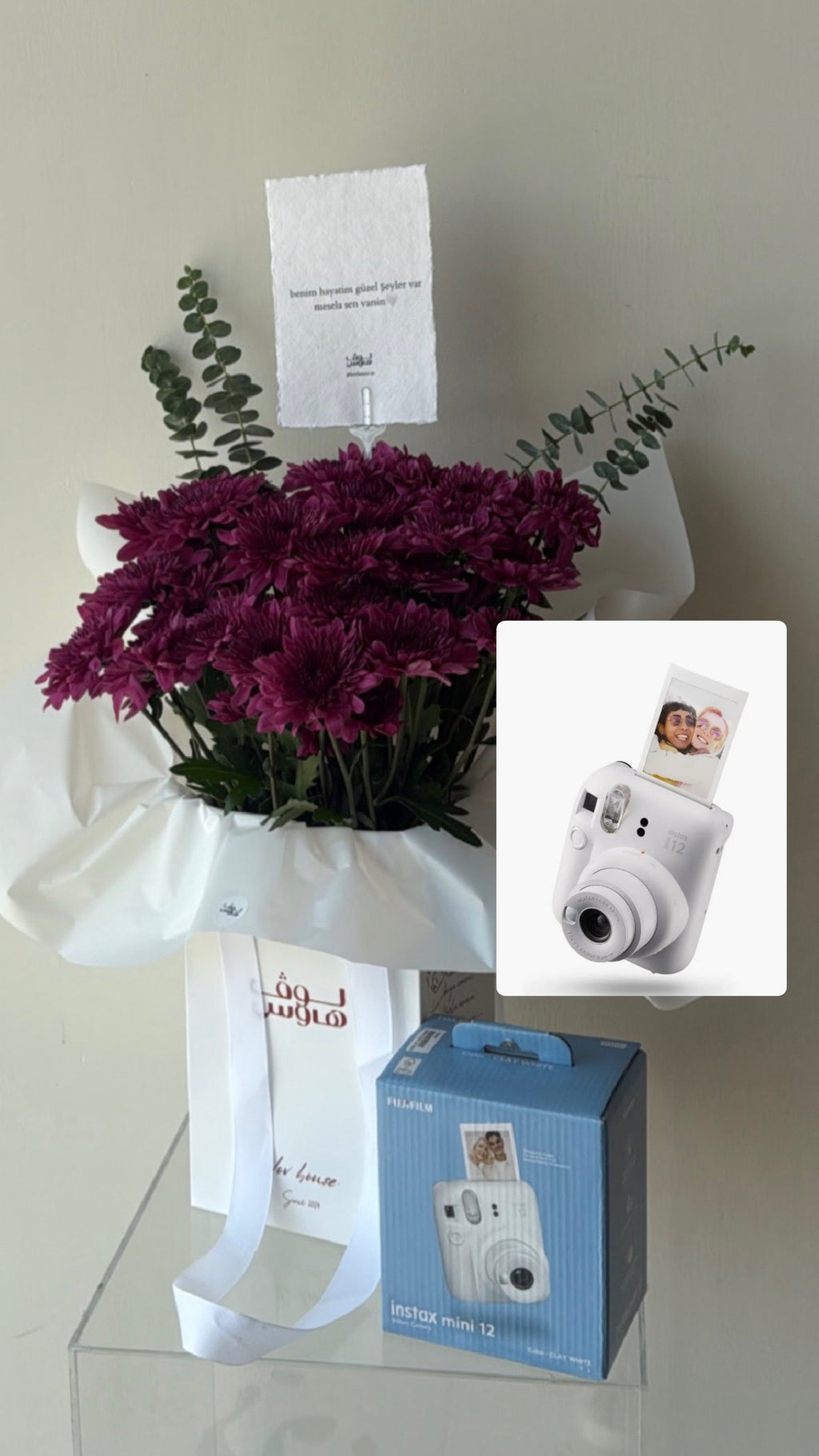 Instax Mini 12 كاميرا