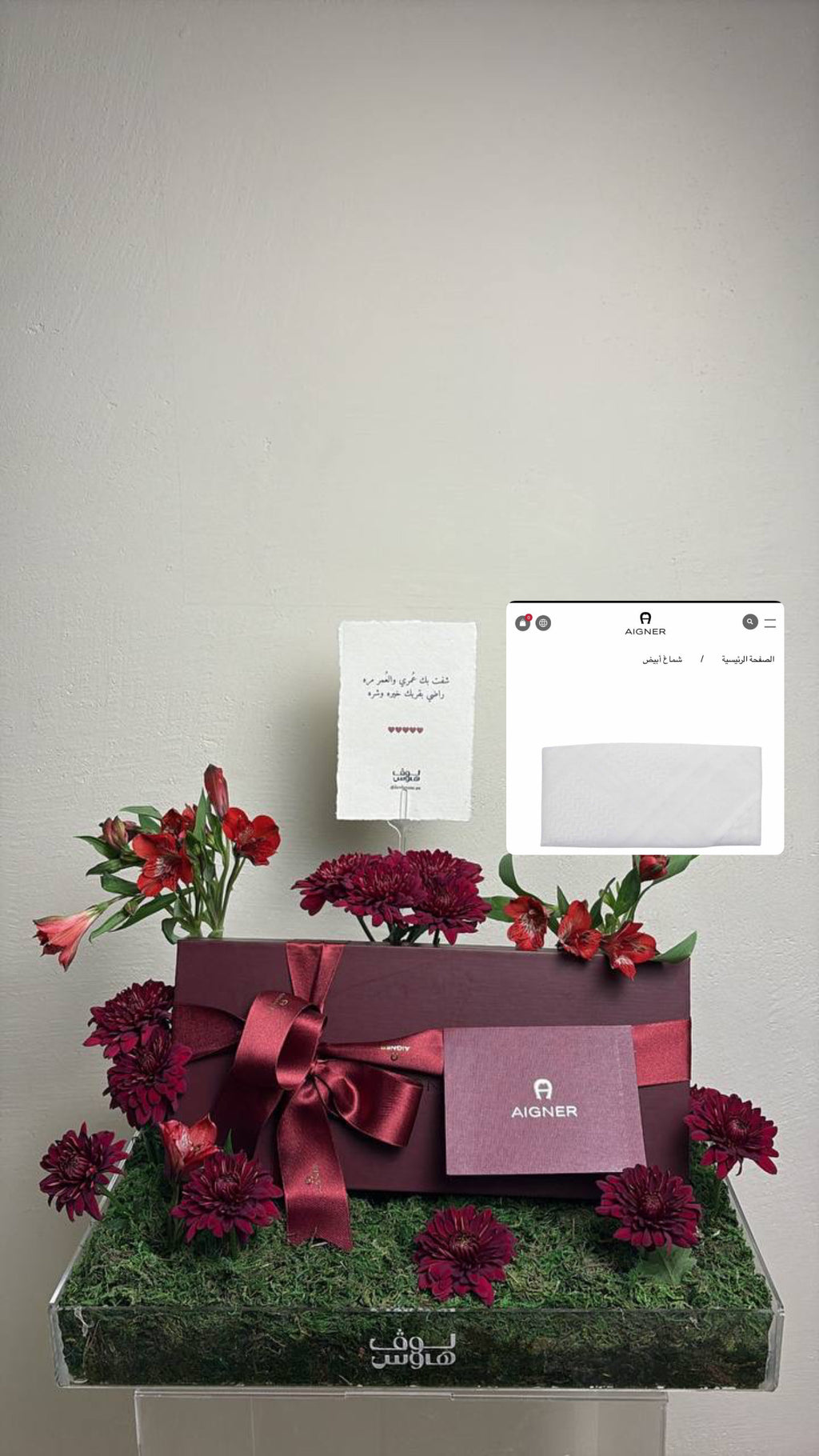 Aigner غترة
