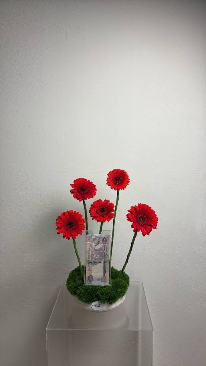 فازة مع 500 كاش