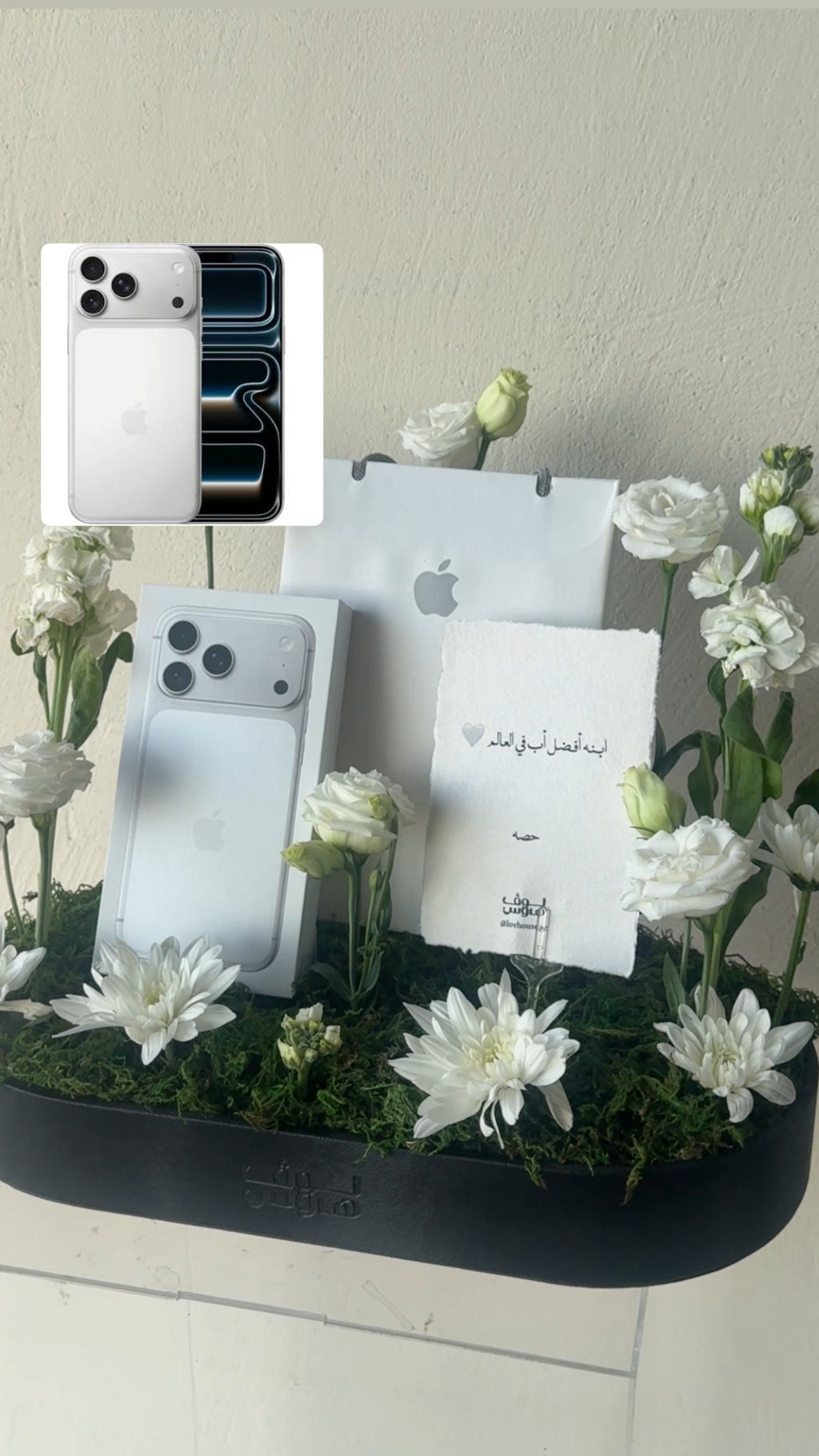 Iphone 17 pro max gift