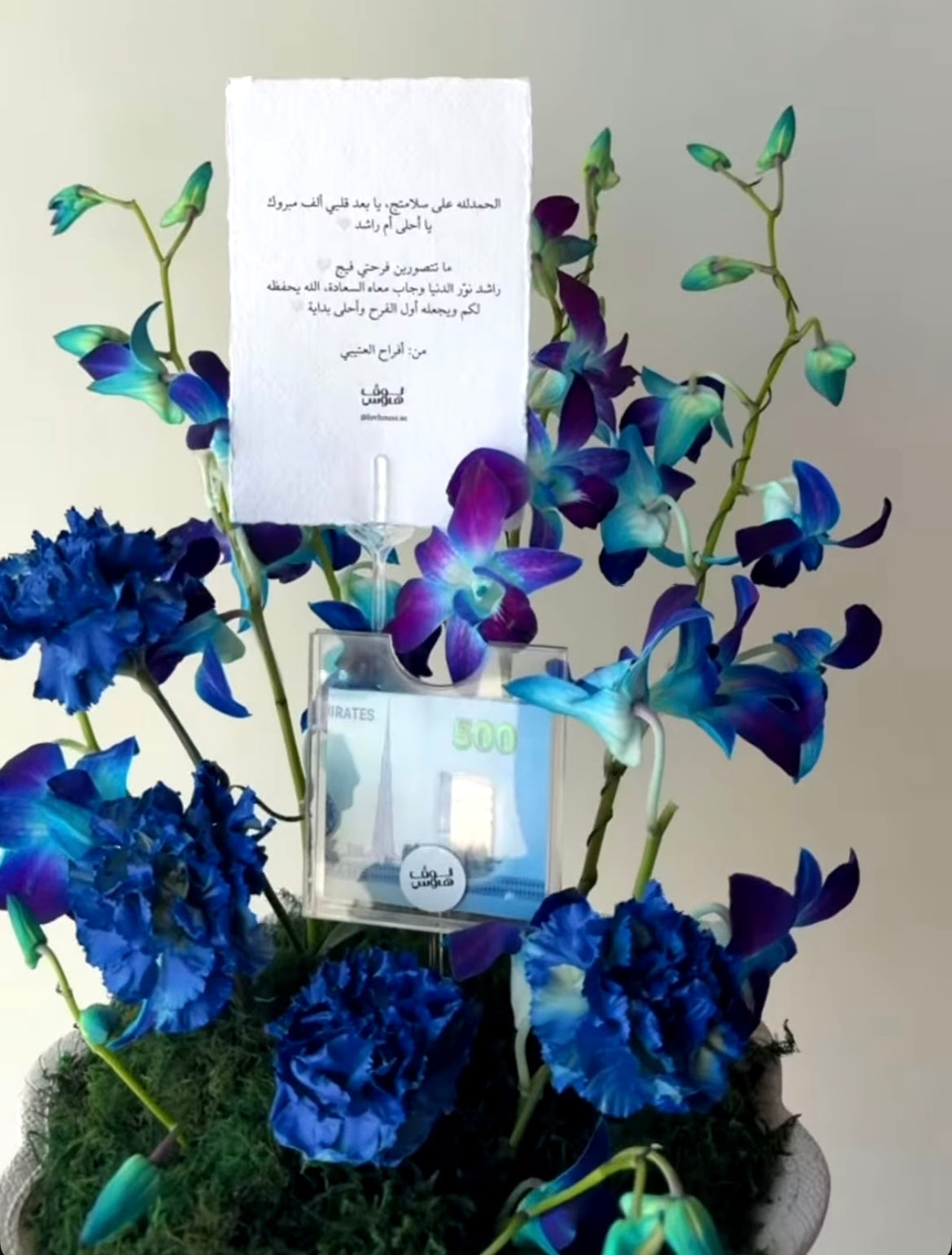 فازة السلامة باللون الأزرق مع 500 كاش
