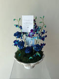 Baby Boy Vase  –  Acrylic Cash Box – Medium – With 500 Cash