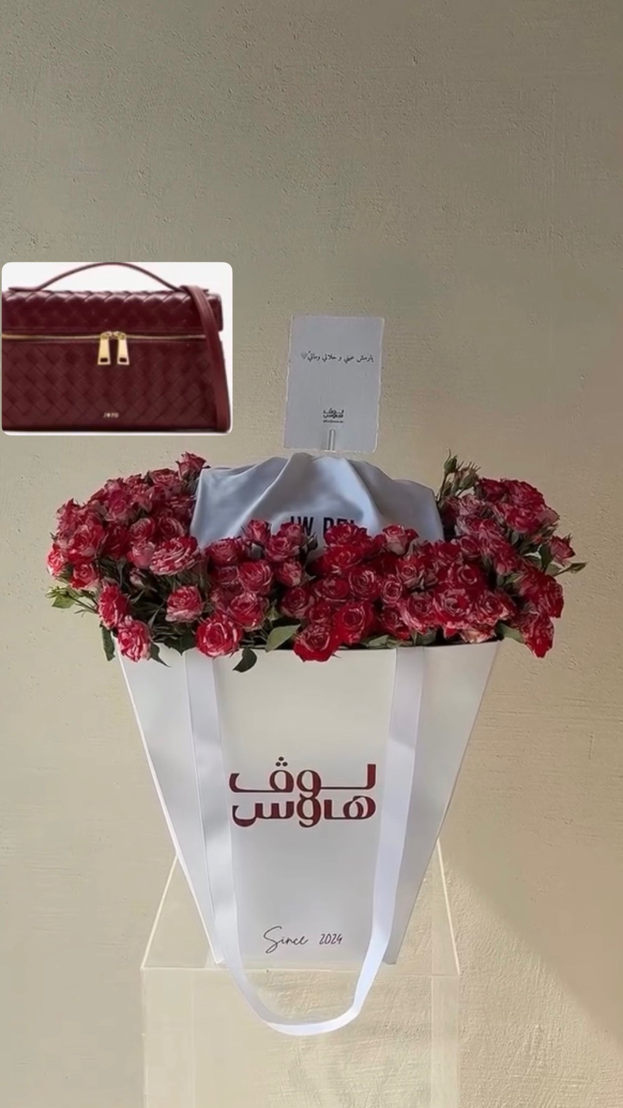 Jw Pei شنطة