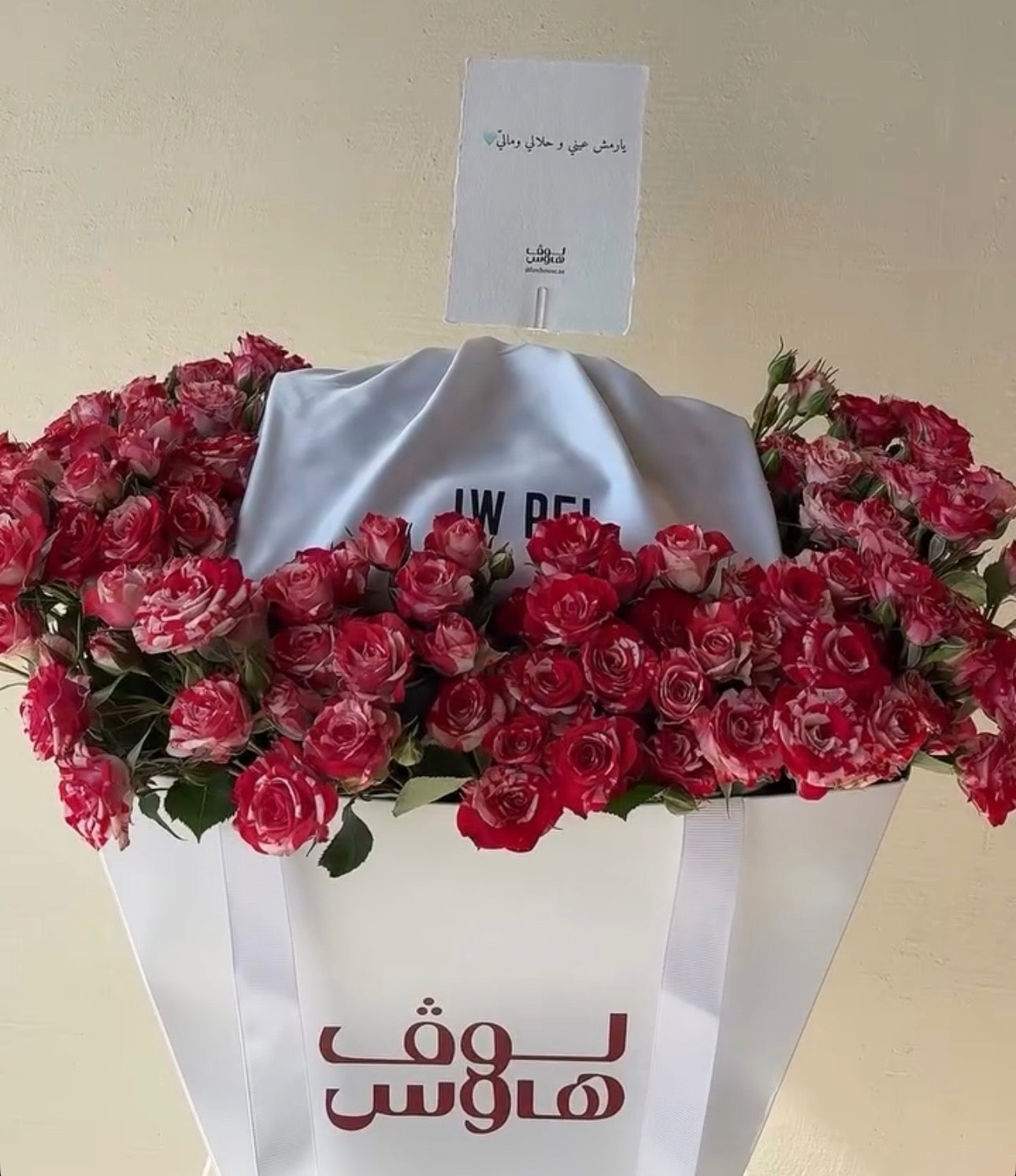 Jw Pei شنطة