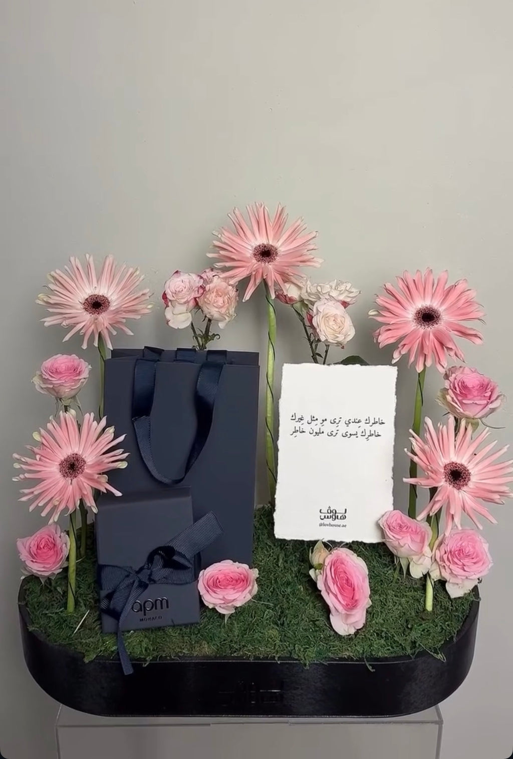 حلق لوقو Apm