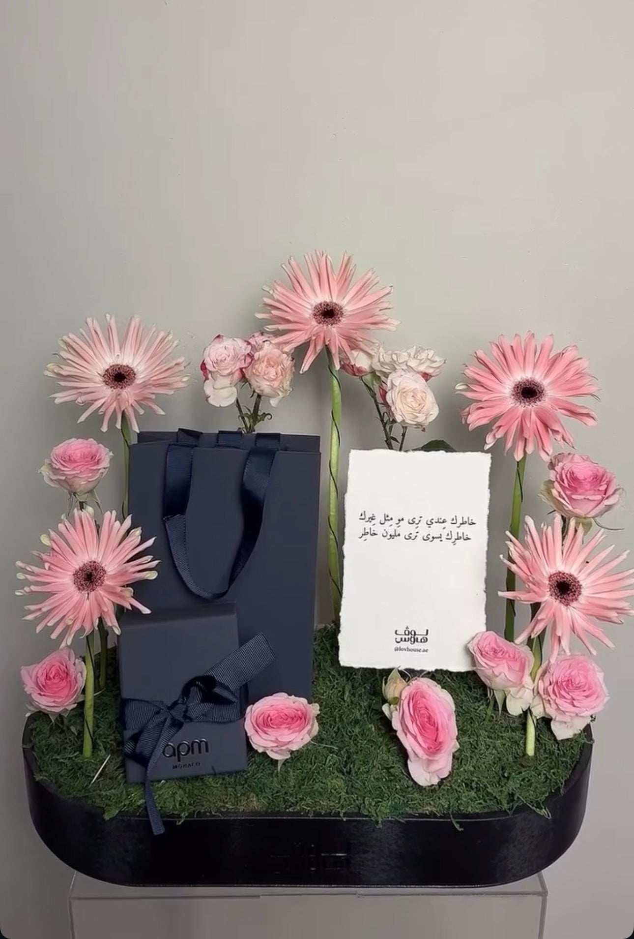 حلق لوقو Apm