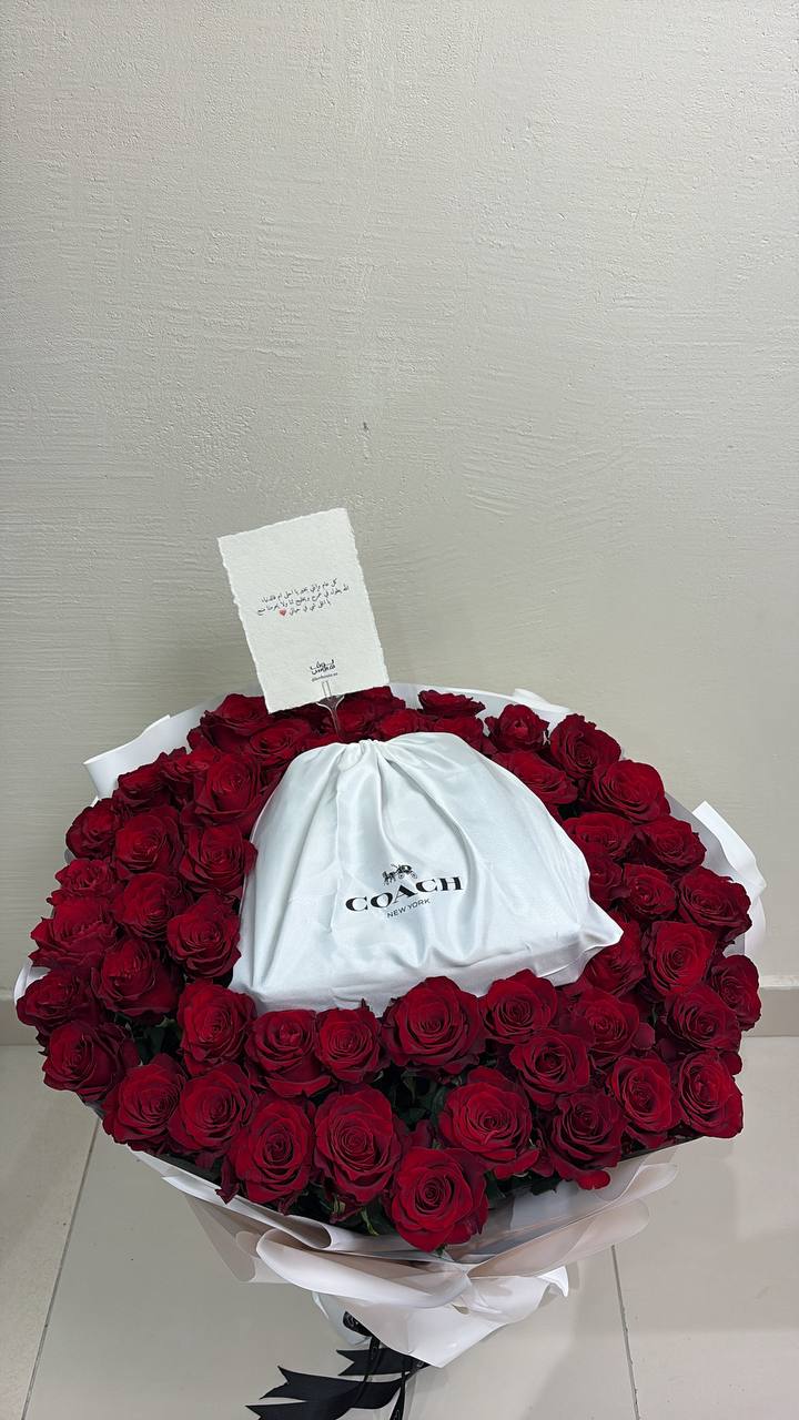 بنيه coach شنطه