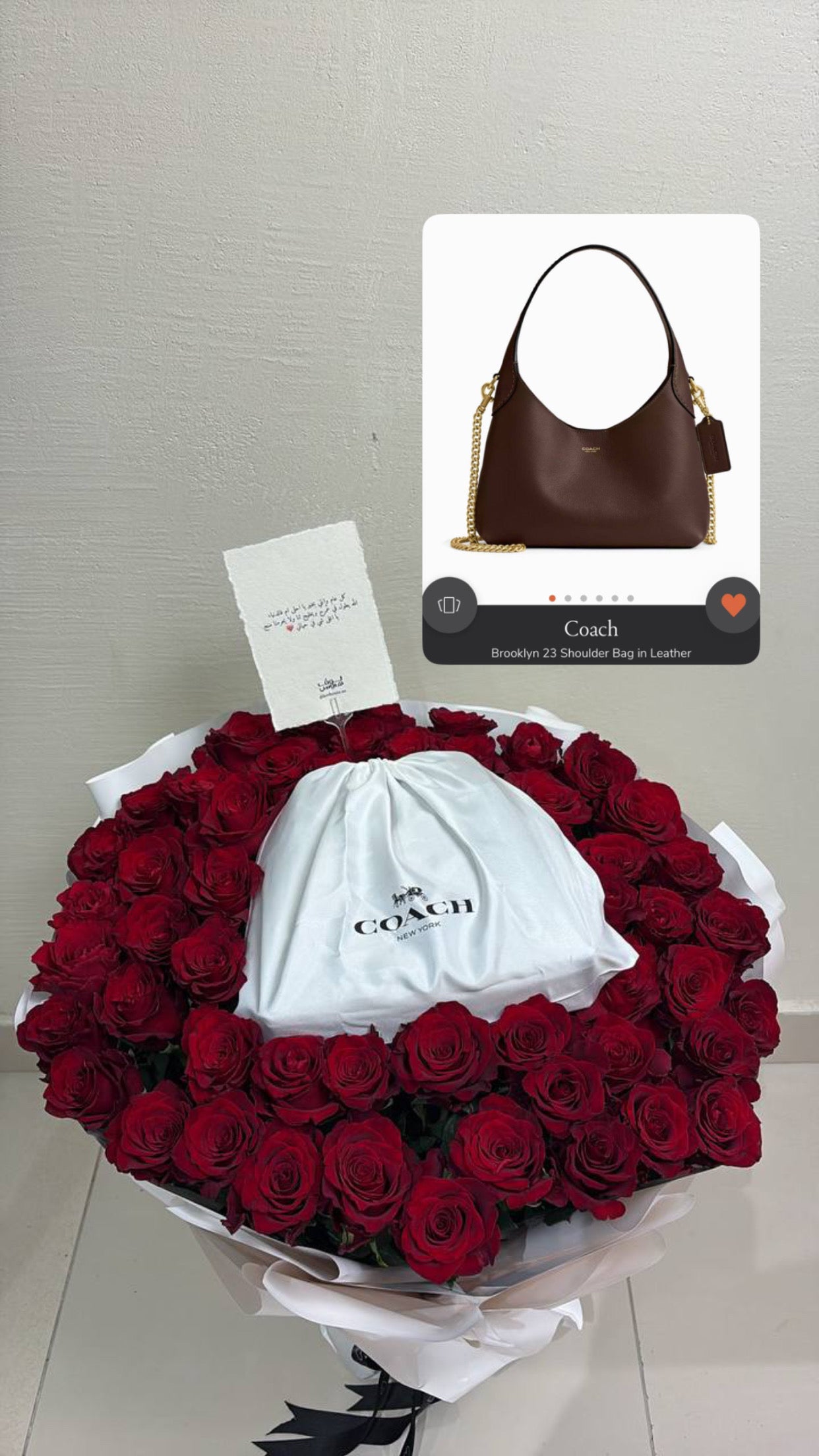 بنيه coach شنطه