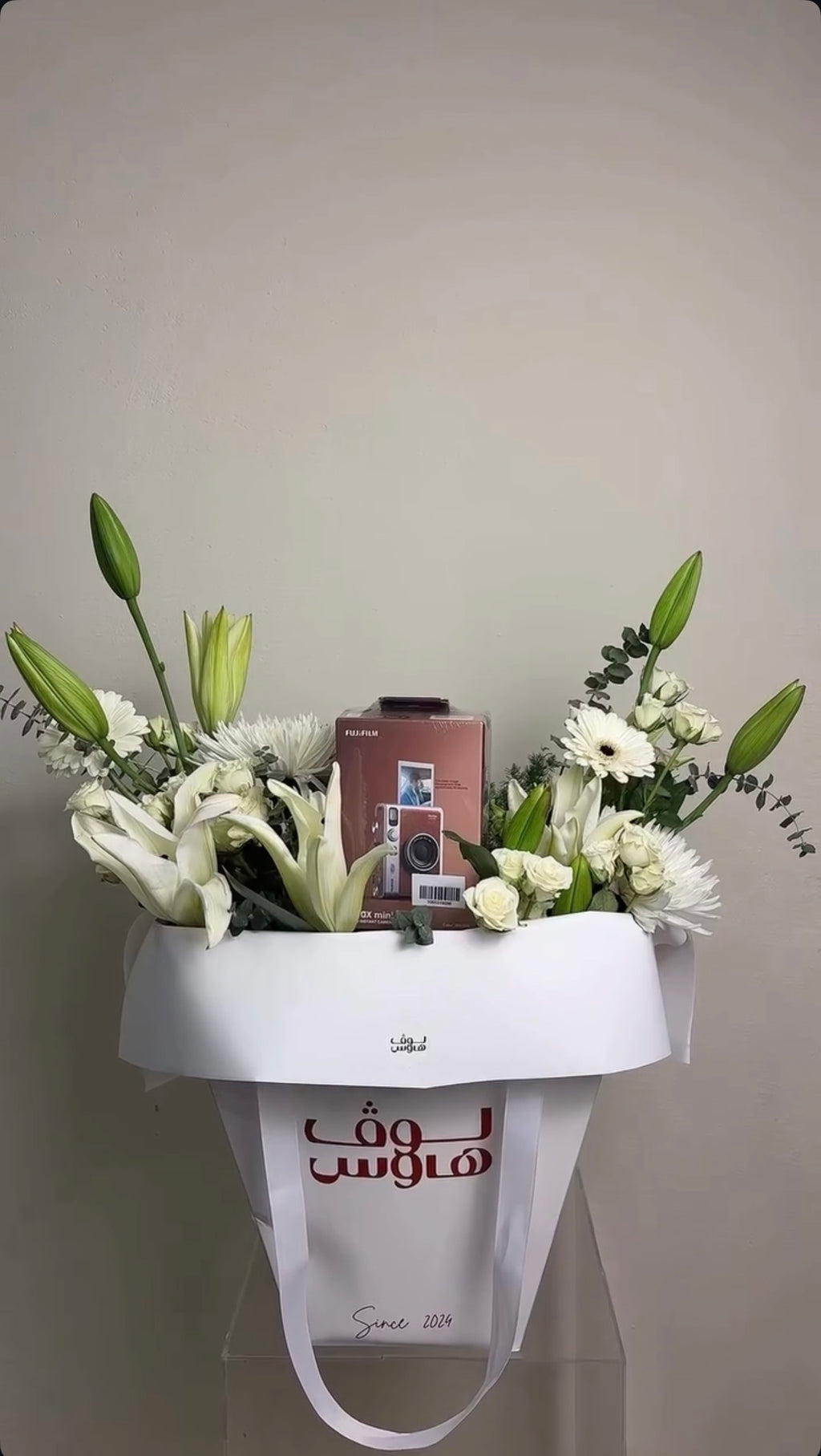 Instax mini evo كاميرا