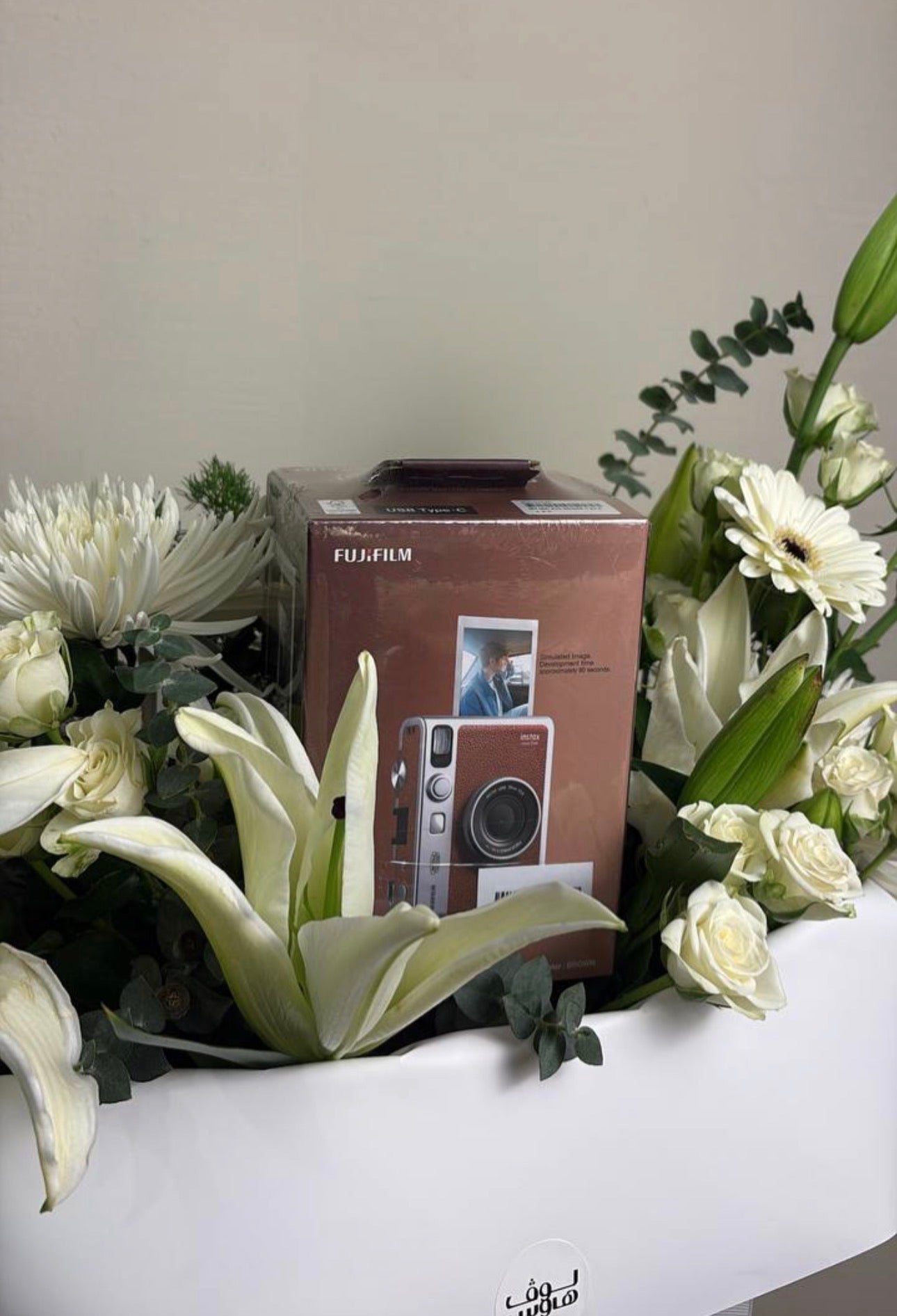 Instax mini evo كاميرا