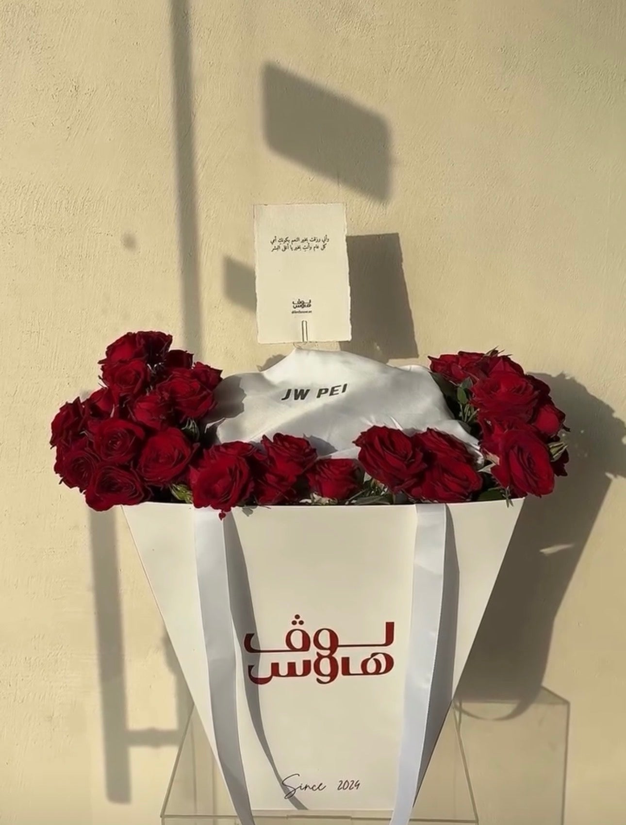 JW Pei شنطة