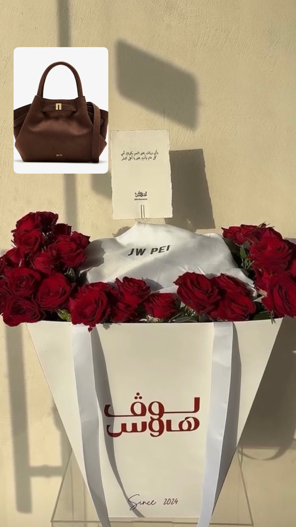 JW Pei شنطة