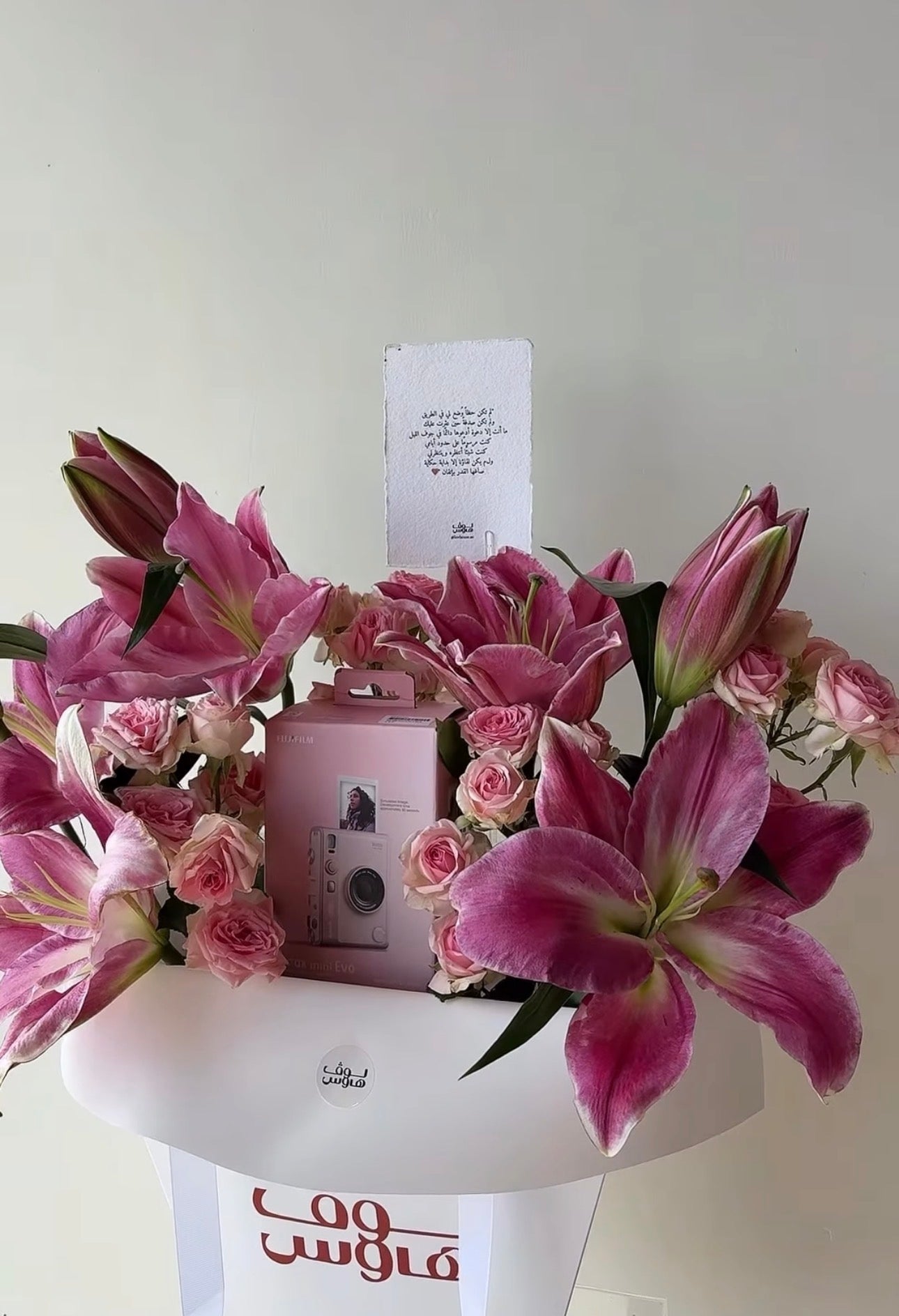 Instax mini Evo  كاميرا وردية