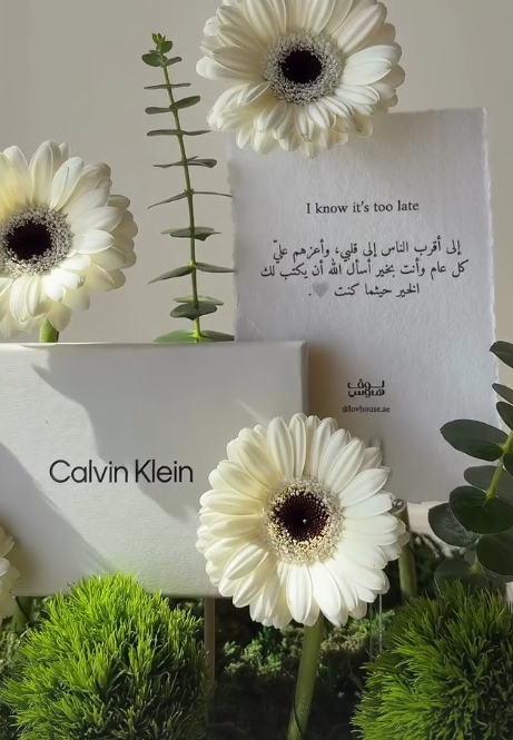 بوك كالفن كلاين