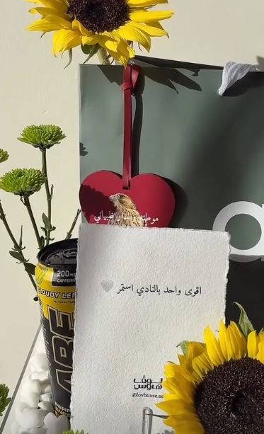 Alo مشروبين طاقة و طقم