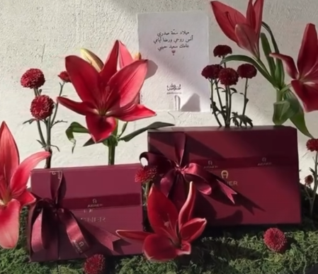 aigner كارد هولدر وقلم