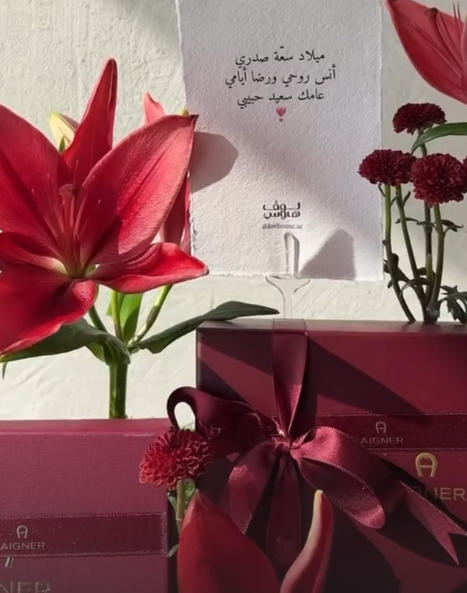 aigner كارد هولدر وقلم