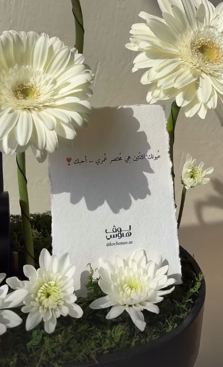 نظارات شمسية Gucci