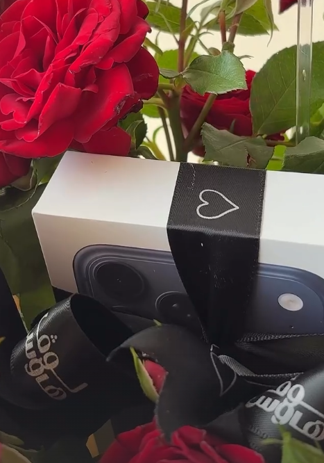 ايفون 17 برو مخفي في باقة