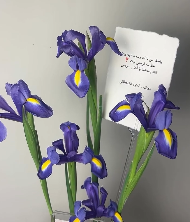 فازه السوسن مع ظرف للكاش