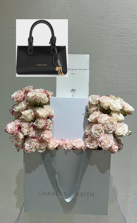 CHARLES & KEITH شنطة