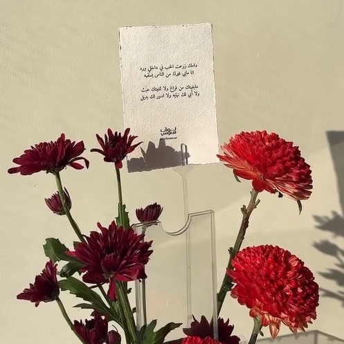 فازة الاقحوان مع ظرف للكاش