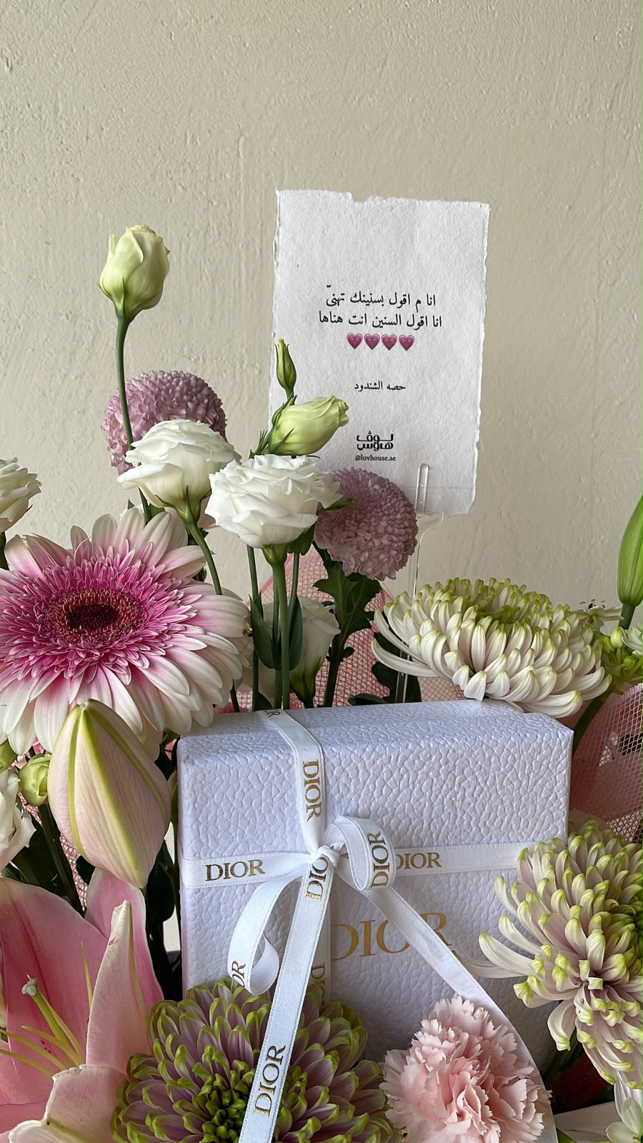 تنسيق card holder DIOR