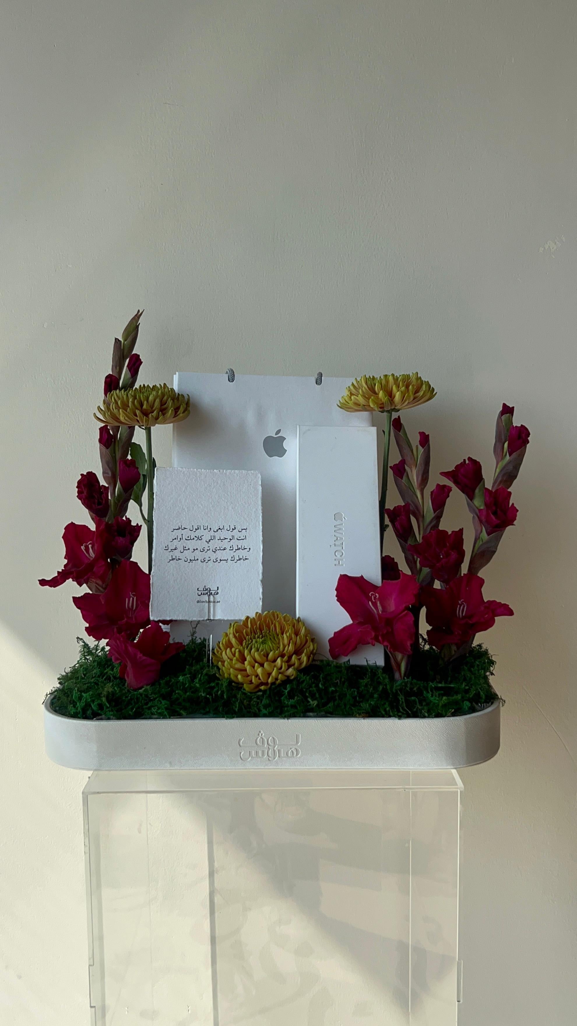 Apple watch