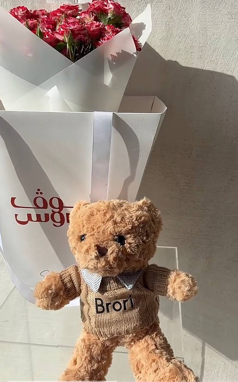 Teddy – big bag