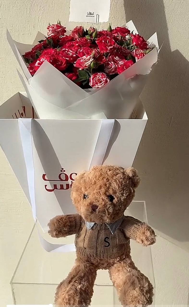 Teddy – big bag