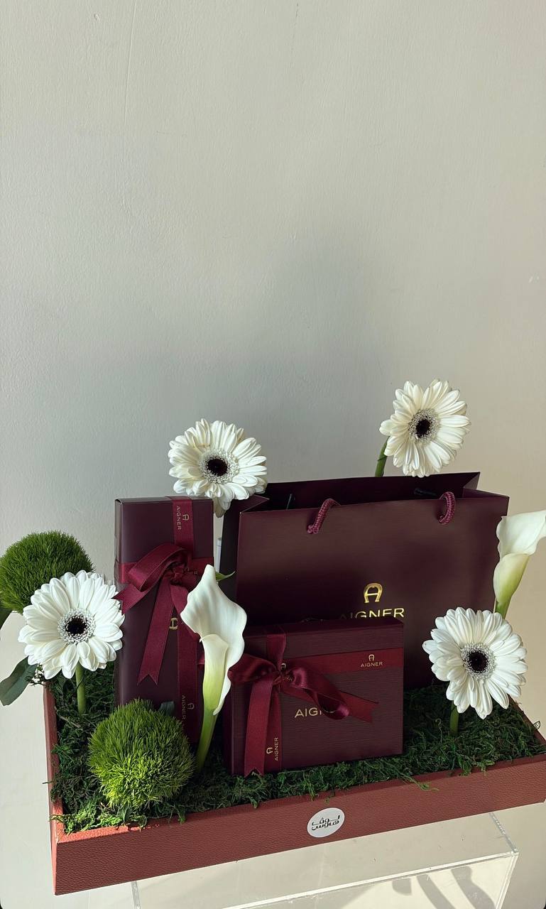 Aigner  قلم وكارد هولدر