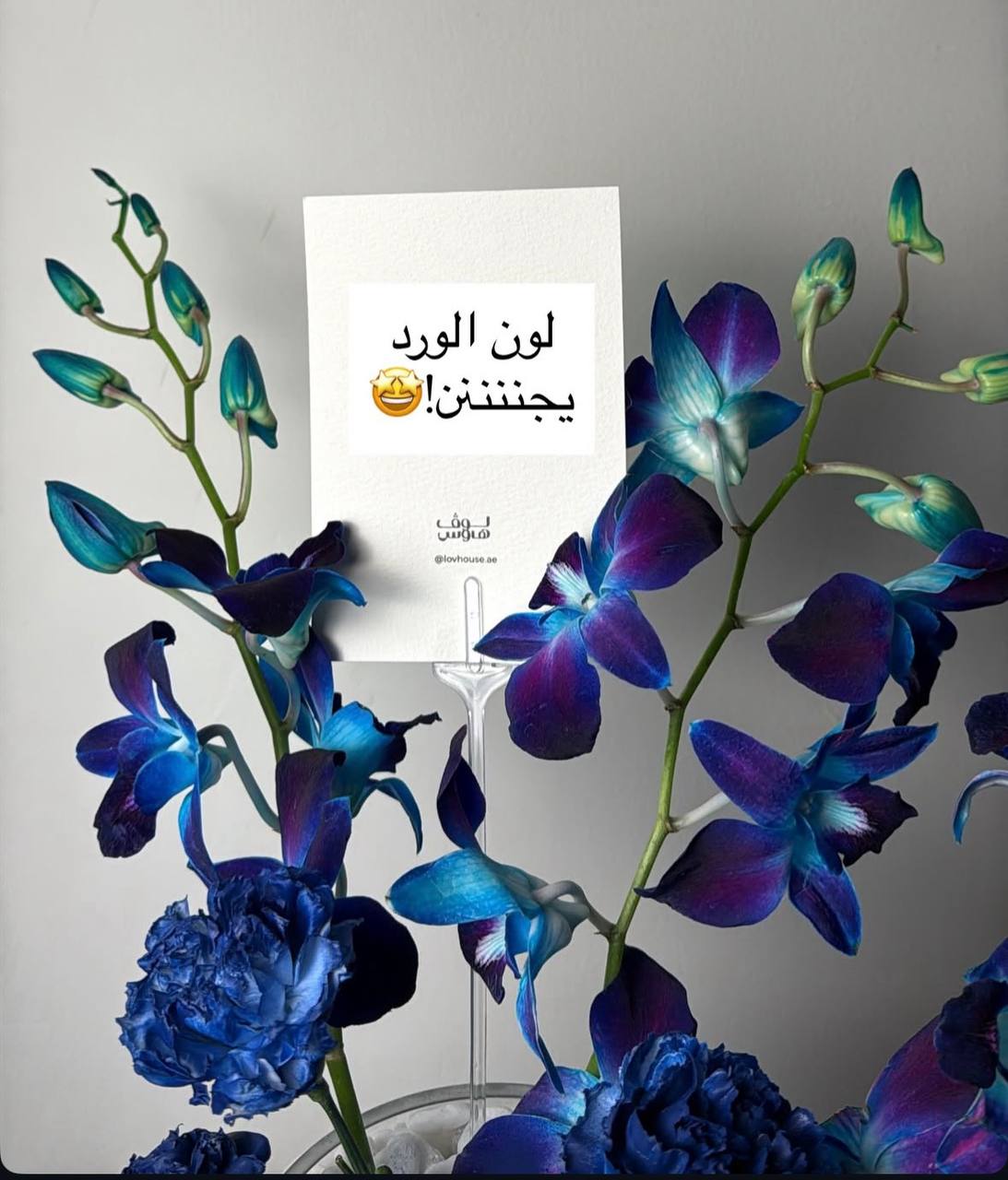 فازة زرقاء