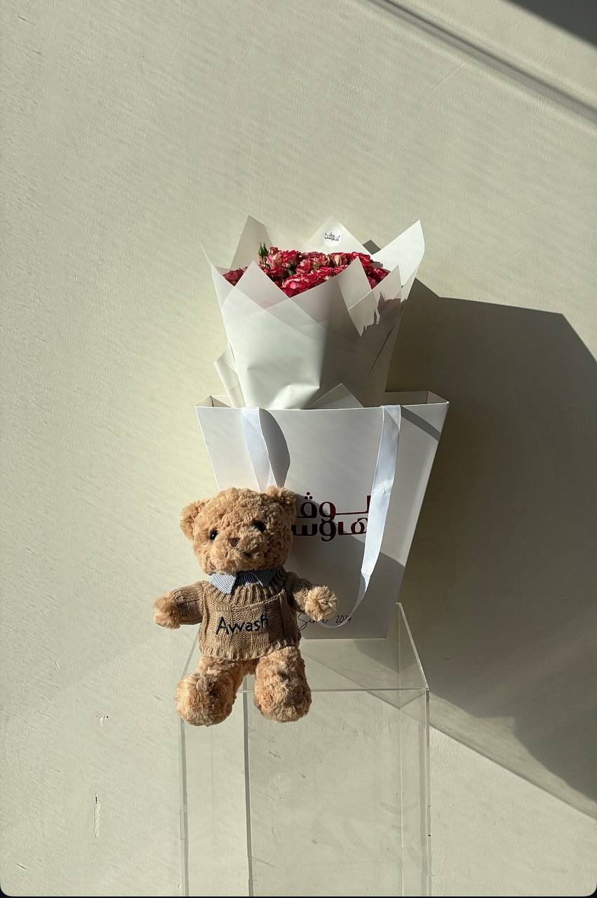 Teddy – big bag