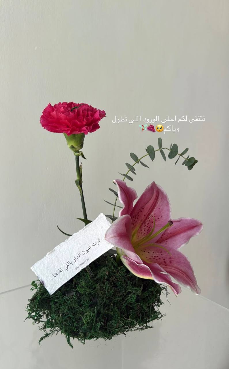 طقم ضيافة وردي 6 قطع