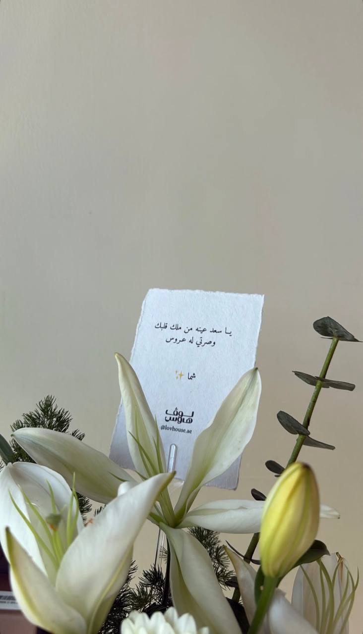 Instax mini evo كاميرا