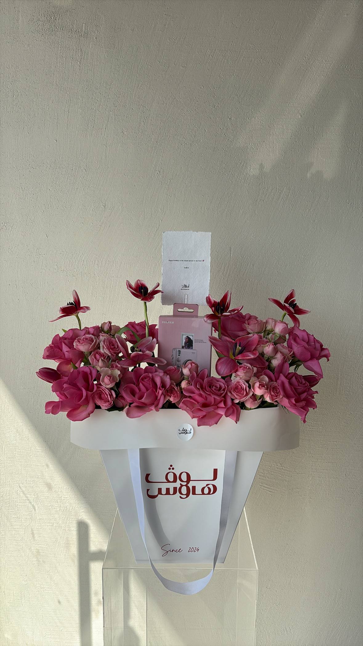 Instax mini Evo كاميرا وردية