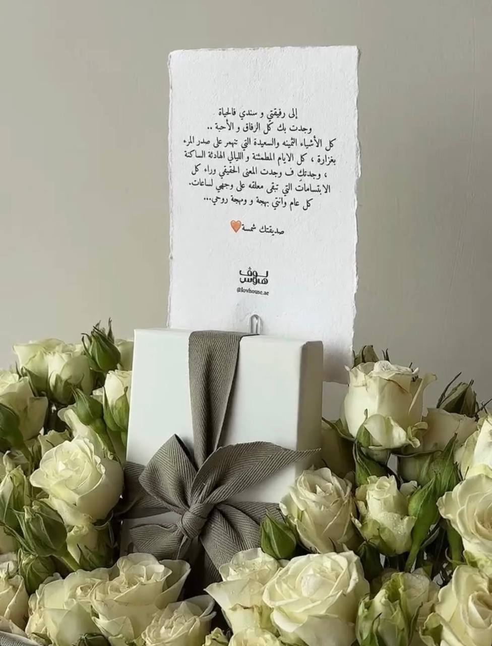 Feathers كارد هولدر