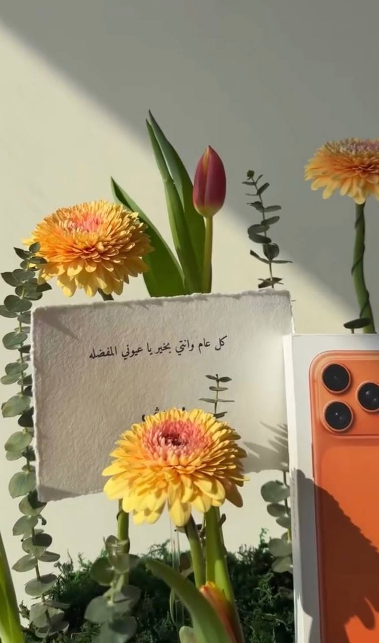 ايفون 17 برو ماكس