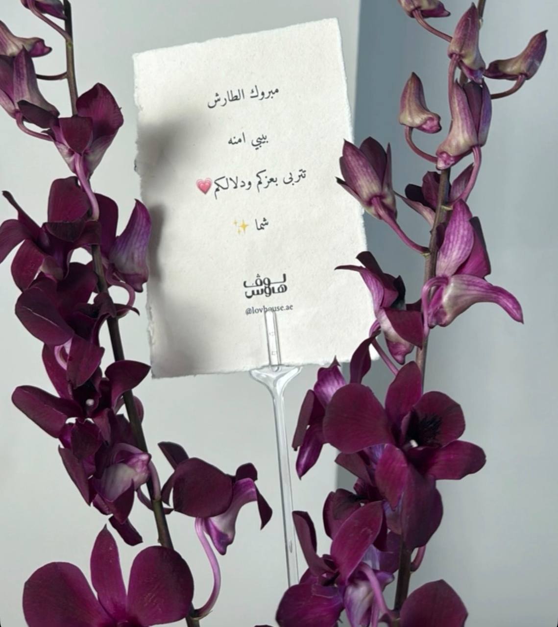 فازة بنفسجية مع 300 كاش