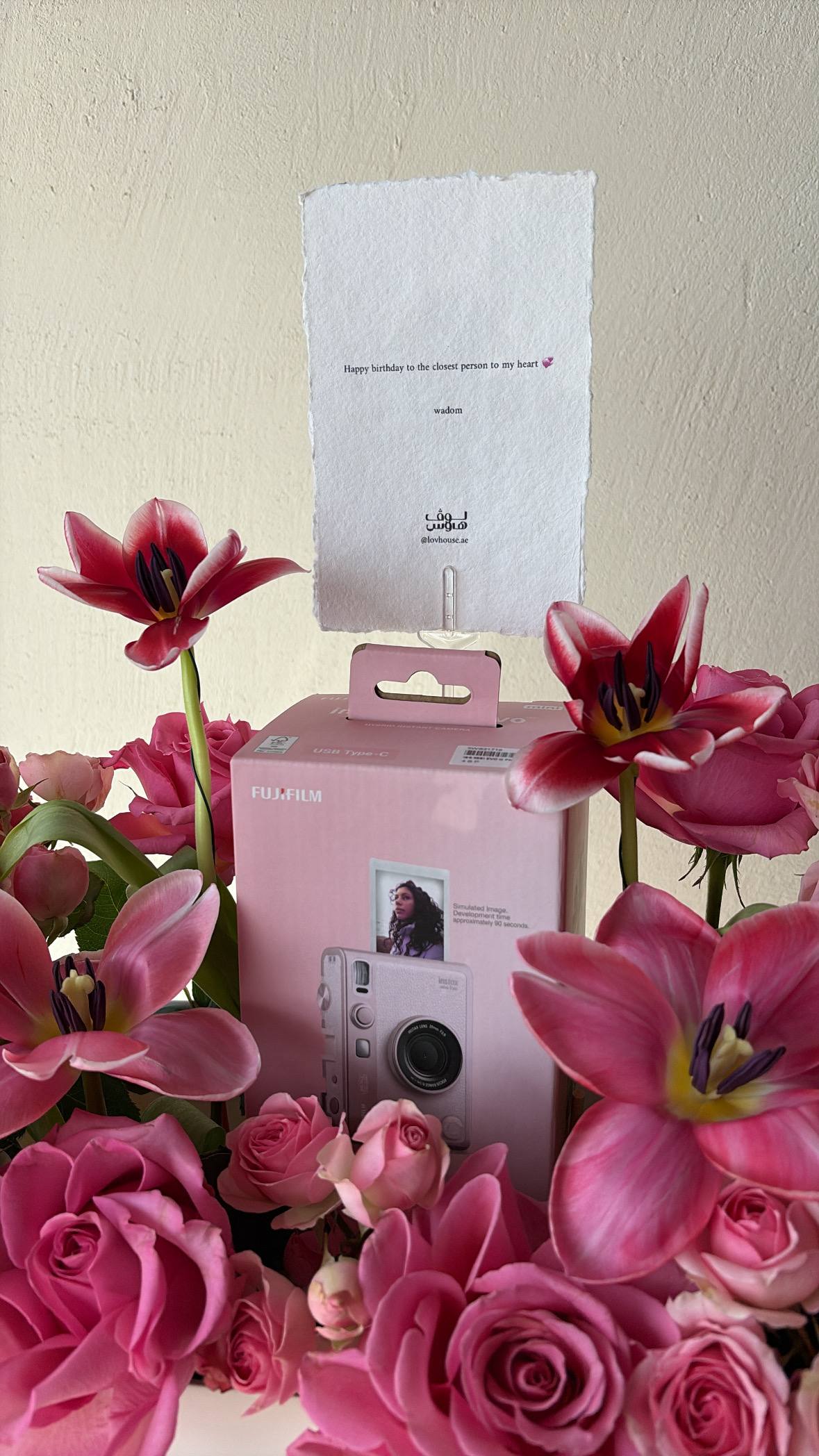 Instax mini Evo كاميرا وردية