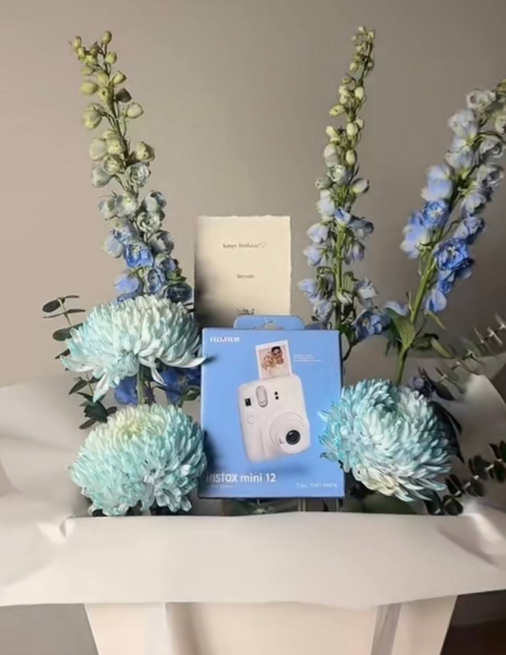 Instax mini 12 كاميرا