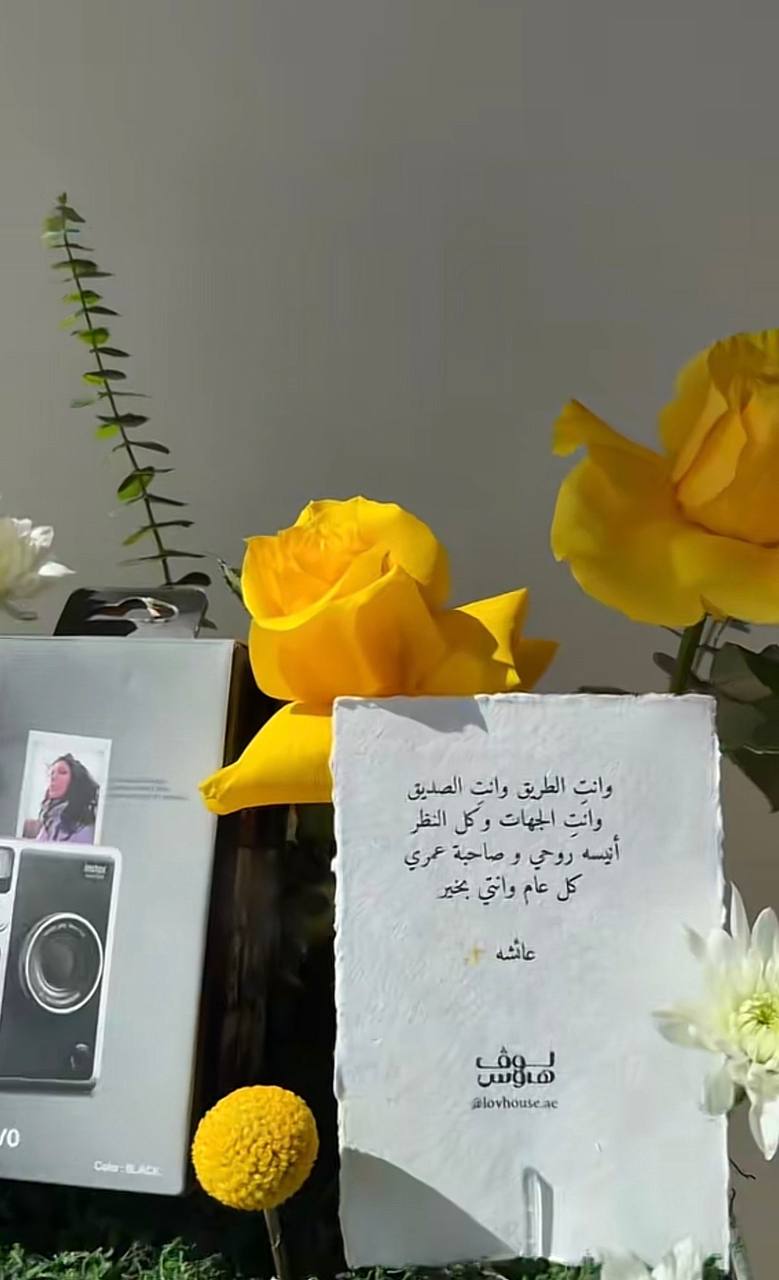 Instax mini evo كاميرا