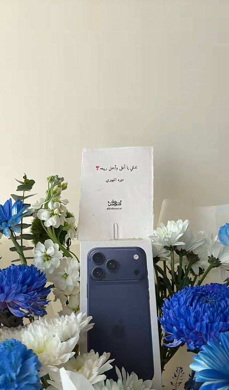 ايفون 17 برو