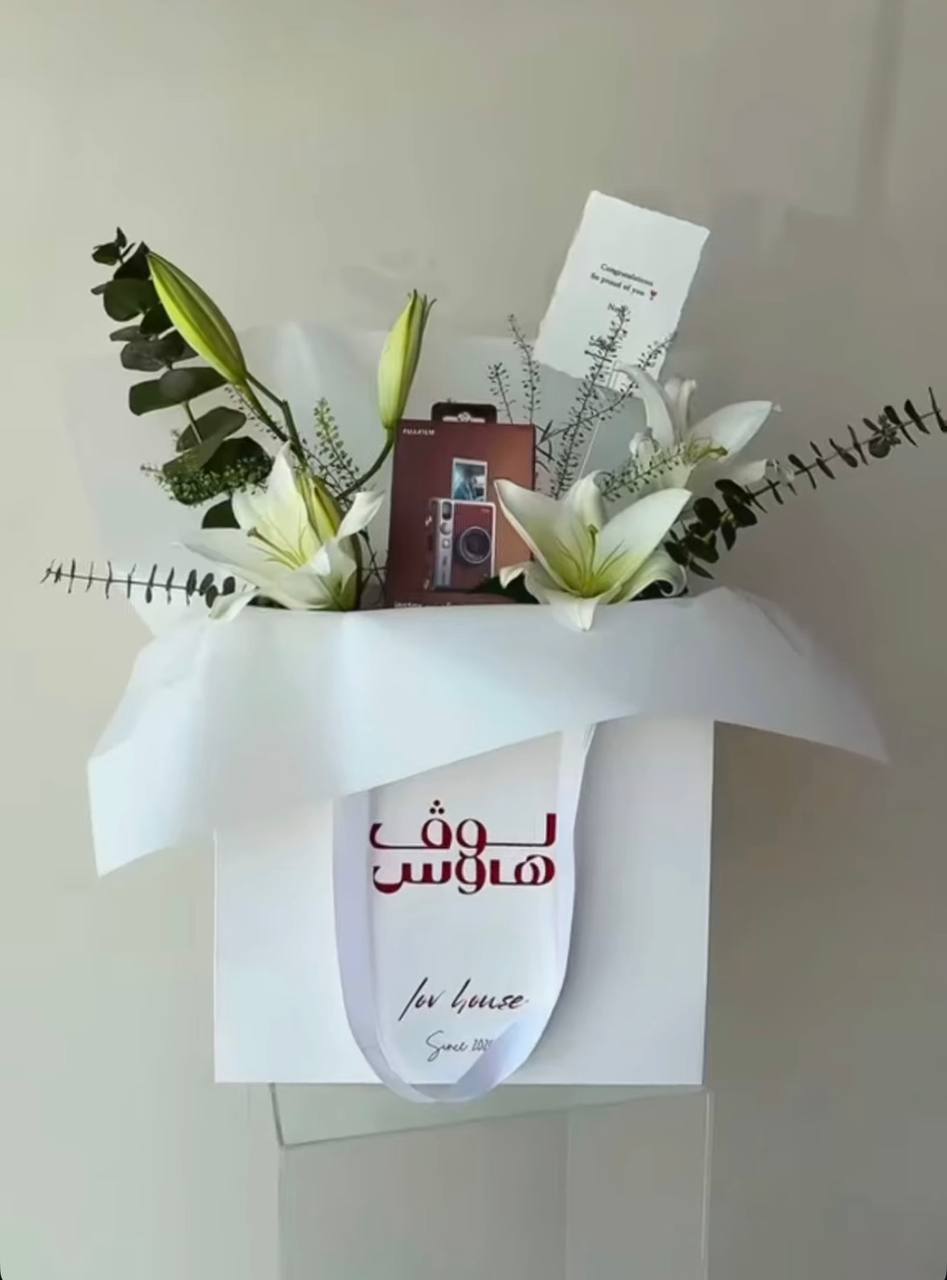 Instax mini evo كاميرا