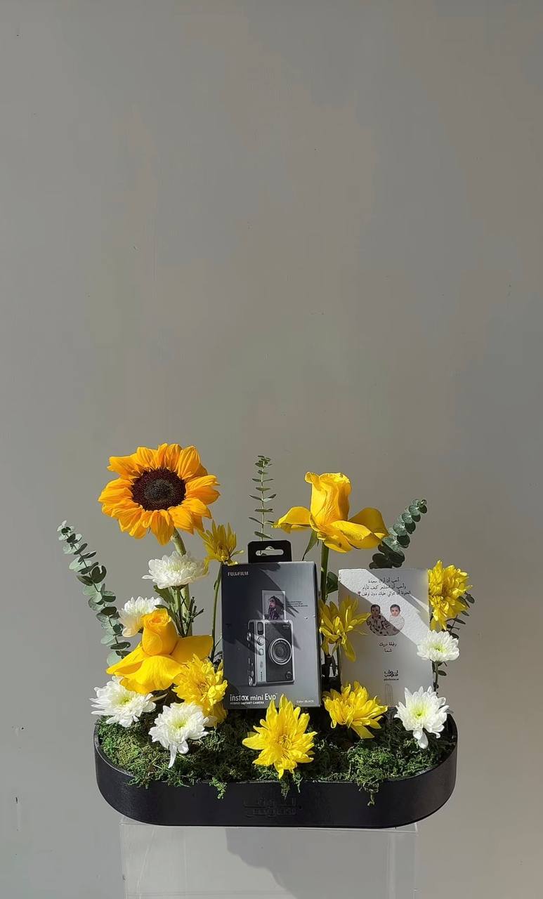 Instax mini evo كاميرا